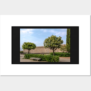 Two Citrus trees and a stone bench Posters and Art